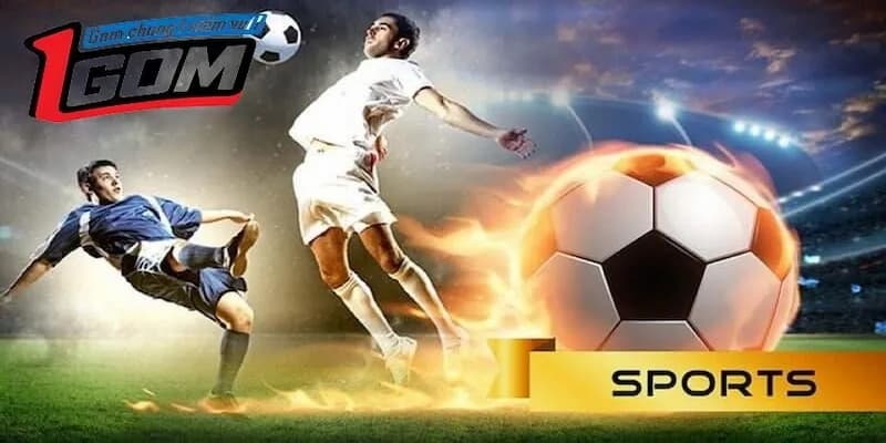 Khám phá kho dữ liệu chuyên sâu trên thể thao 1gom