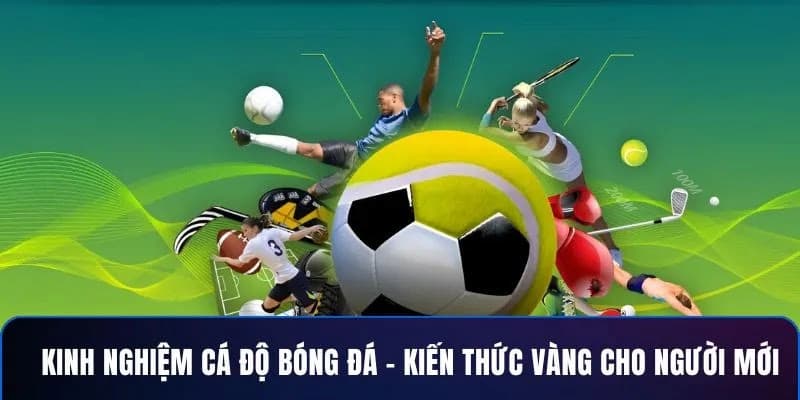 Lý do cần kinh nghiệm cá cược khi tham gia thể thao trực tuyến