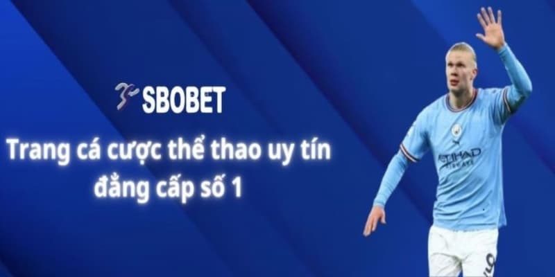 Mẹo và chiến thuật giúp tăng cơ hội thắng tại Sbobet