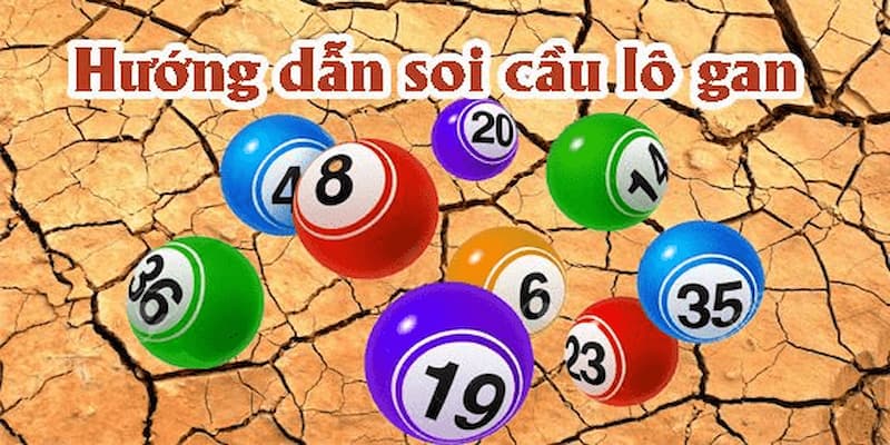 Tại sao nên soi cầu lô gan tại 1Gom