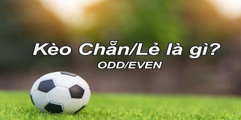 Tìm hiểu về kèo chẵn lẻ dành cho người mới bắt đầu